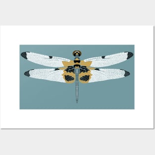 Dragonfly - Rhyothemis Phyllis Posters and Art